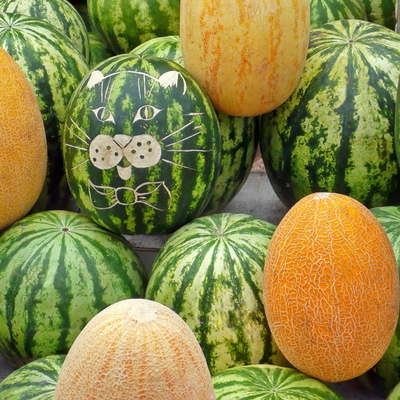 Разное
